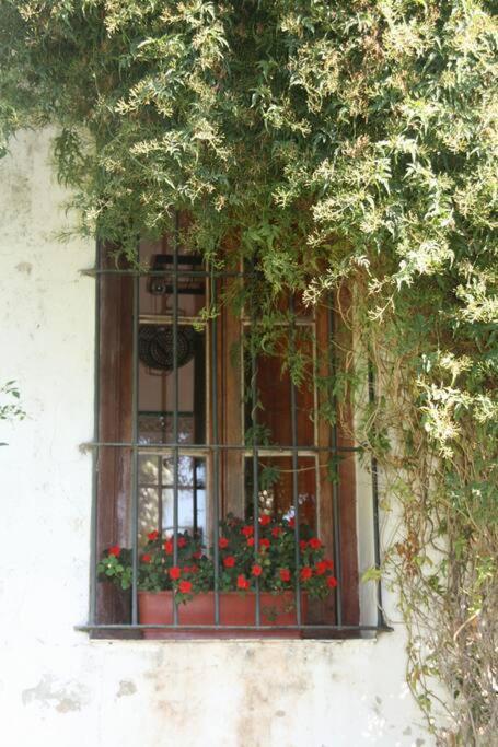 Casona Lilios En Entre Rios